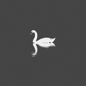 殴美美白老妇大BBooss
