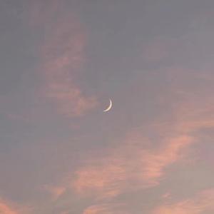 殴美美白老妇大BBooss
