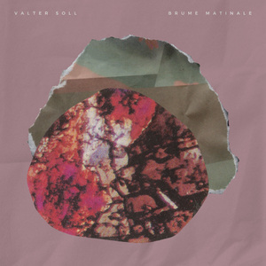 殴美美白老妇大BBooss
